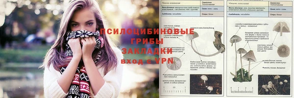 прущая мука Медвежьегорск