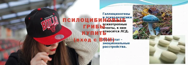 прущая мука Медногорск
