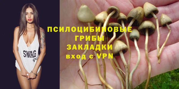 сатива Карабаново