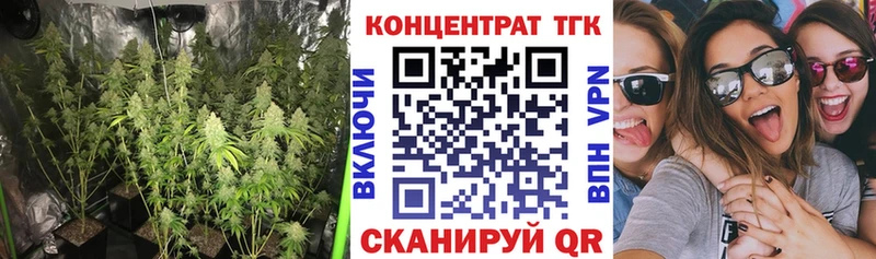 mega ТОР  даркнет сайт  Орехово-Зуево  ТГК Wax 