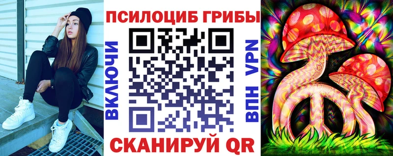 купить закладку  Орехово-Зуево  Галлюциногенные грибы прущие грибы 